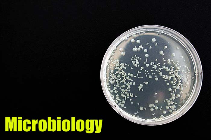 Microbiology Microbiology