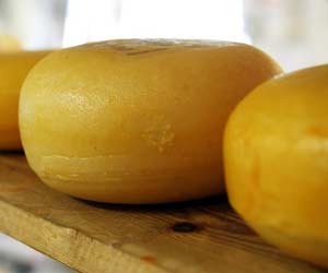 Mold Fermentation (Cheese) Mold Fermentation (Cheese)