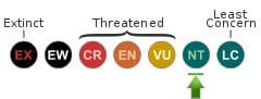 IUCN Status: Nearly-Threatened IUCN Status: Nearly-Threatened