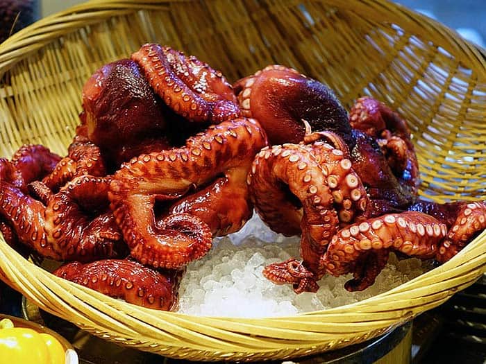 Octopus food chain Octopus food chain