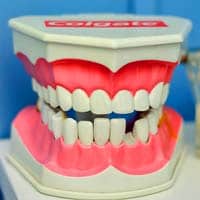 Oral Surgeon