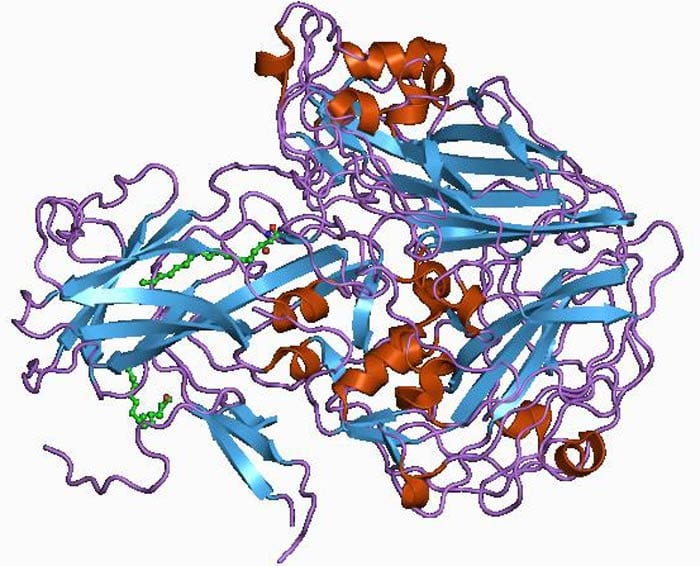 Poliovirus Structure Poliovirus Structure