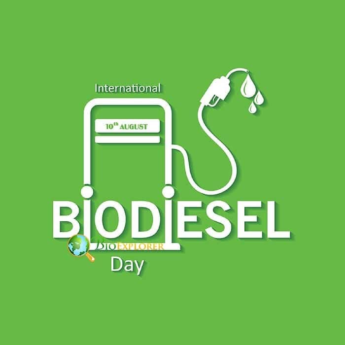 Produce Biodiesel From Cardboards Produce Biodiesel From Cardboards
