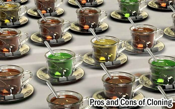Pros and cons of cloning Pros and cons of cloning