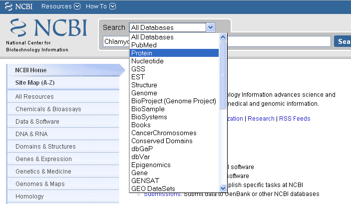 Protein Databases