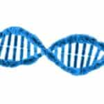 protein databases