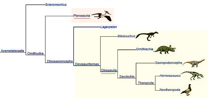 Pterosaurs and Dinosaurs Relationship