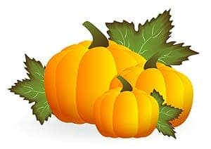 Pumpkins Pumpkins