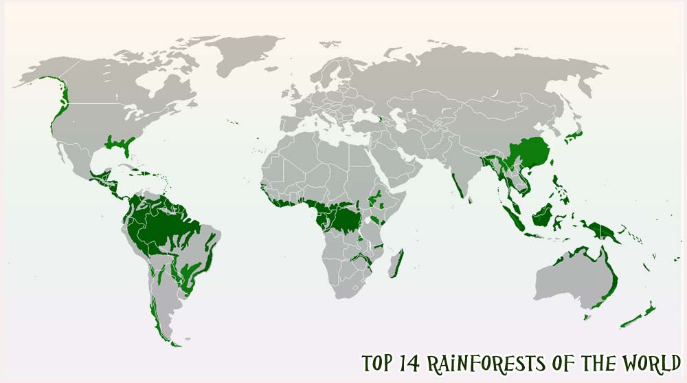 Rainforests in the world