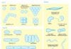 Explore 13 Different Shapes of Bacteria Shapes of Bacteria