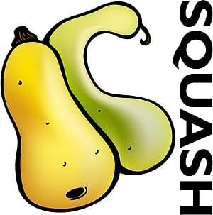 Squash Squash