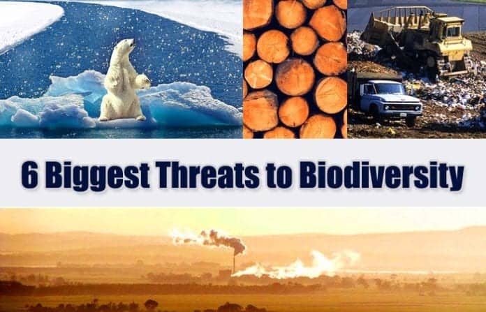 Threats to Biodiversity | 6 Major Loss of Biodiversity | Biology Explorer