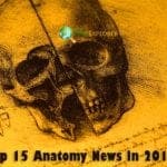 History of Anatomy | BioExplorer.Net