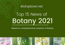 top botany news of 2021