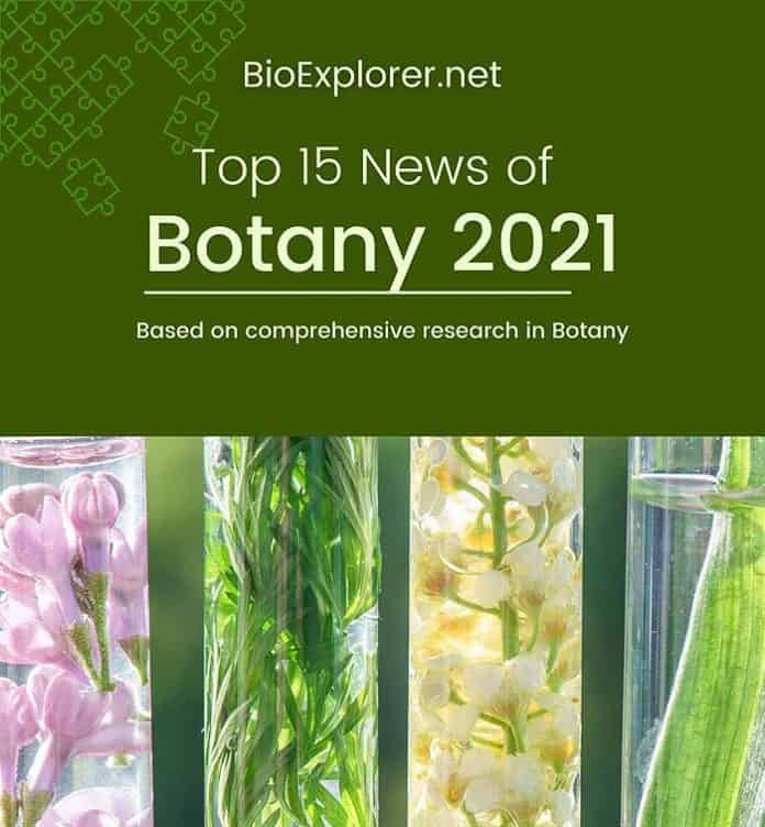 top botany news of 2021 top botany news of 2021