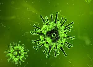 Virus Virus