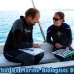 what do marine biologists do?