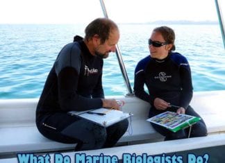 what do marine biologists do?