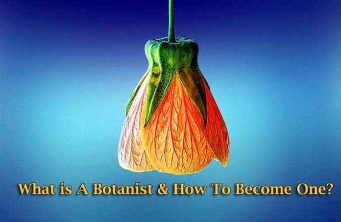 Botany Degree Botany Degree