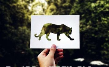 Wildlife Biology Degree Programs