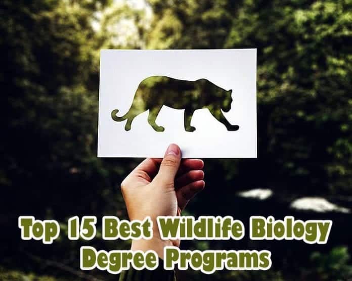 wildlife biology research topics