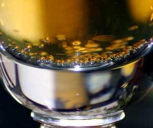 Yeast Fermentation (Beer) Yeast Fermentation (Beer)