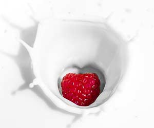 Yogurt Yogurt