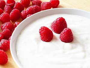 Yogurt (Galactose) Yogurt (Galactose)