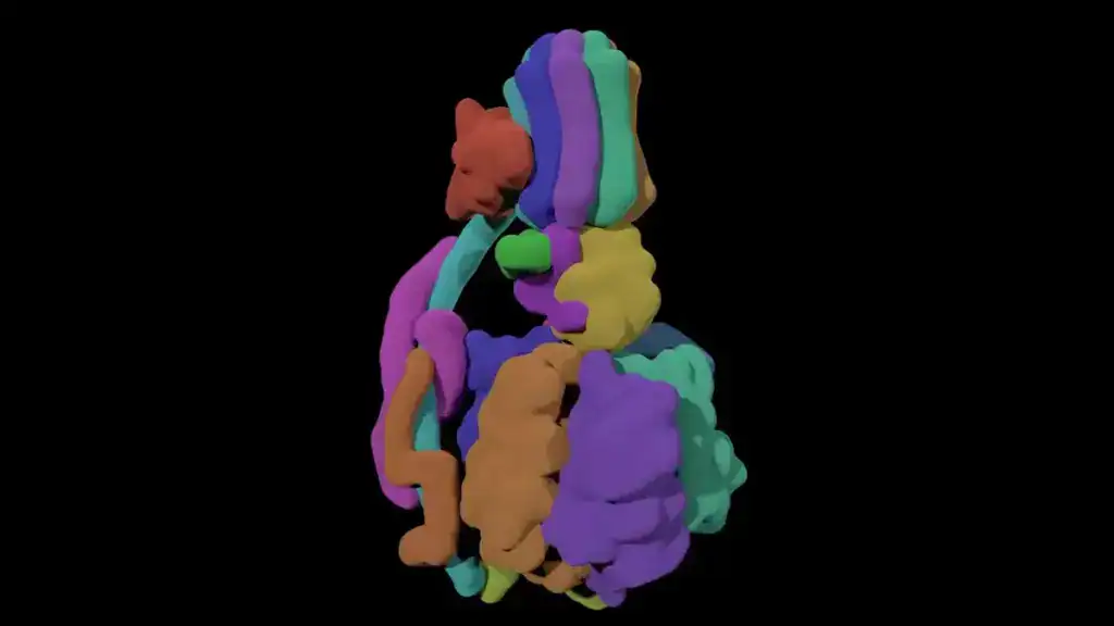 ATP synthase converts proton-motive force into mechanical rotation and ATP synthesis. Proton flow through the membrane-embedded F₀ motor drives rotation coupled to ATP formation in the F₁ catalytic head.