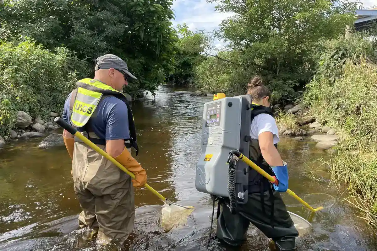 USGS Fish Sampling Survey Two USGS technicians in chest waders sampling fish in a creek, one wearing a backpack electrofishing unit