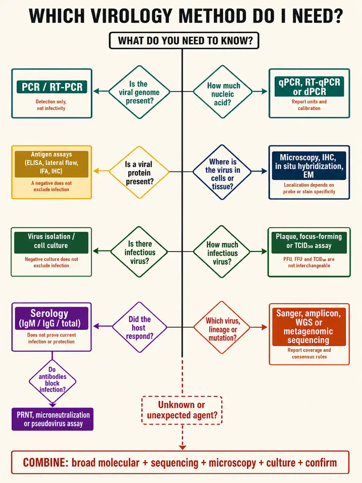 Decision tree mapping virology questions to methods: viral genome present, use PCR or RT-PCR; how much nucleic acid, use qPCR, RT-qPCR or dPCR; viral protein present, use antigen assays; location in cells or tissue, use microscopy, IHC, in situ hybridization or EM; infectious virus present, use virus isolation or cell culture; how much infectious virus, use a plaque, focus-forming or TCID50 assay; host response, use serology, then a neutralization assay if antibodies must block infection; virus identity, lineage or mutation, use sequencing. For an unknown or unexpected agent, combine broad molecular methods, sequencing, microscopy, culture and confirmatory testing.