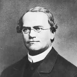 Gregor Mendel.