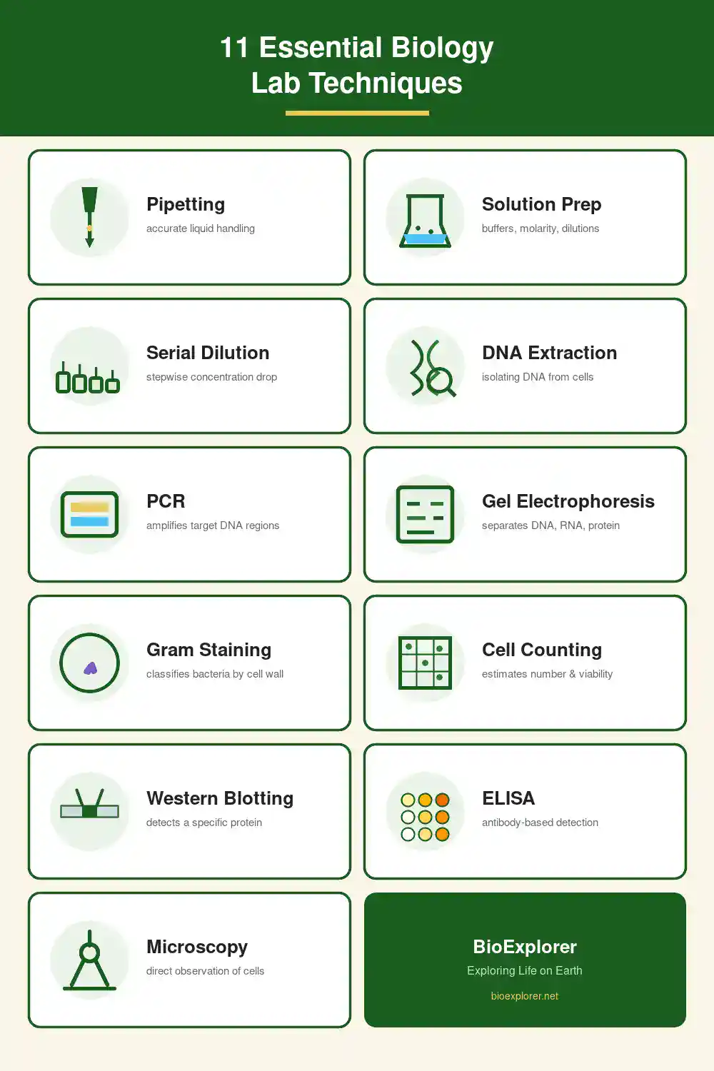 Infographic listing 11 essential biology lab techniques with icons: pipetting, solution preparation, serial dilution, DNA extraction, PCR, gel electrophoresis, Gram staining, cell counting, western blotting, ELISA, and microscopy