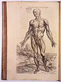 Ornate 1543 woodcut title page showing Andreas Vesalius dissecting a cadaver at the center of a crowded, tiered anatomical theater packed with onlookers.