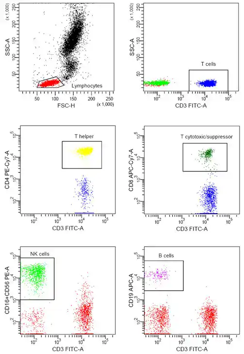 Flow cytometry scatter plot chart showing gated lymphocyte cell populations used to identify immune cell subtypes
