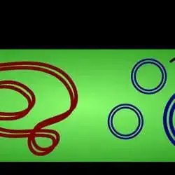 A bacterial plasmid, the vector of the Cohen and Boyer experiment.