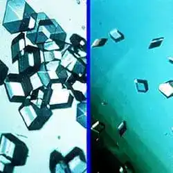 Crystals of human insulin, the first genetically engineered medicine.
