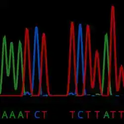 DNA sequence data of the kind deposited in GenBank.