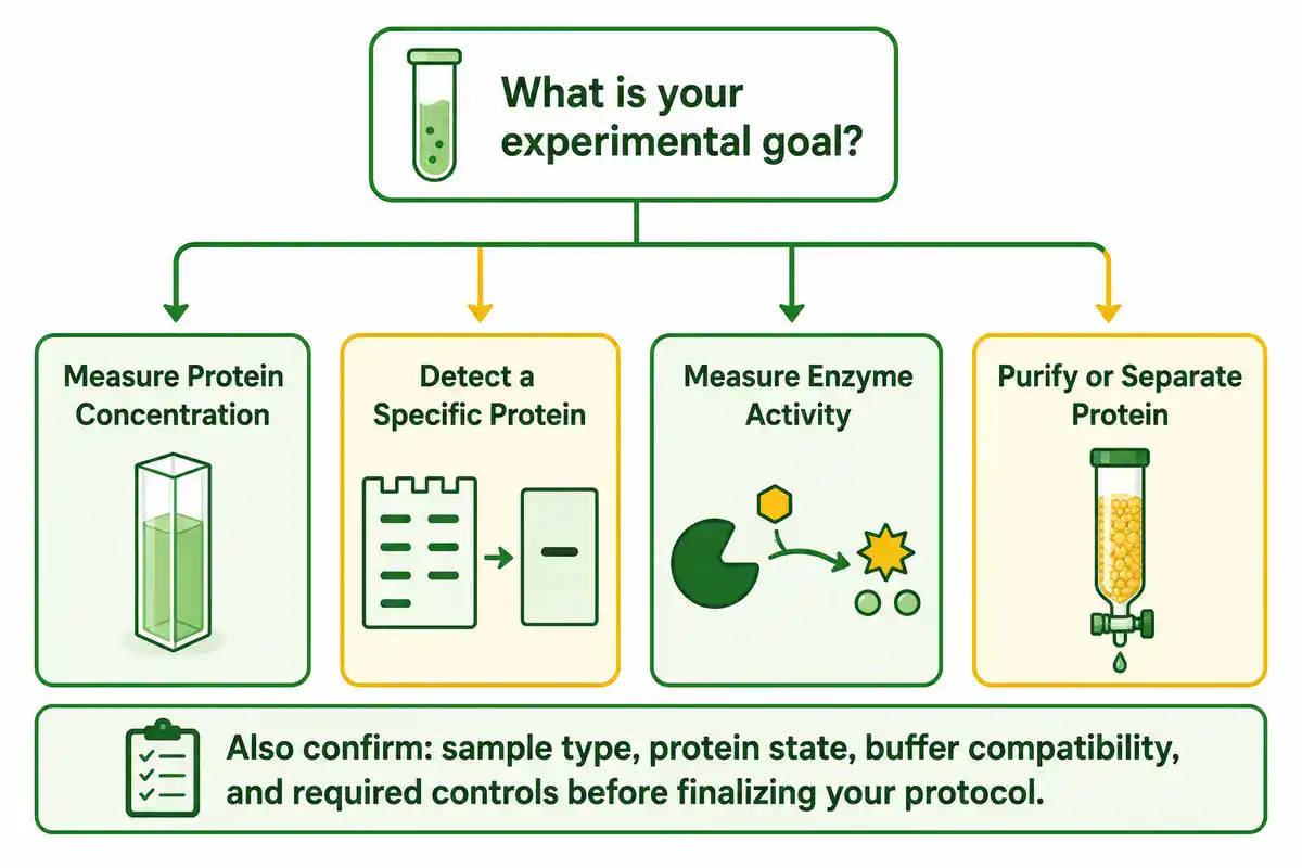 Decision flowchart for choosing the right biochemistry protocol based on sample type, goal, and controls needed