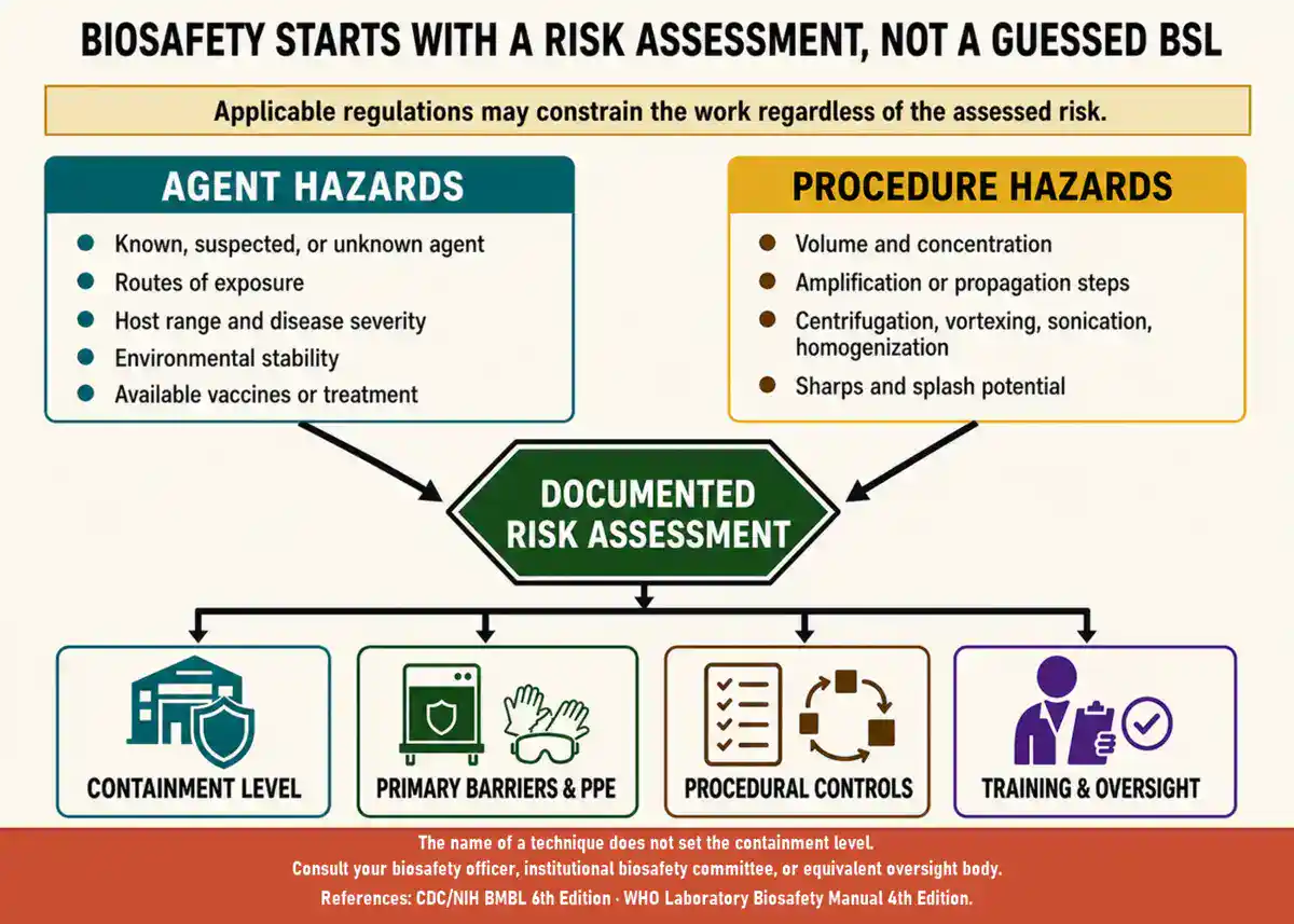Biosafety risk assessment flow: agent hazards and procedure hazards both feed a documented risk assessment, which then determines containment level, primary barriers and PPE, procedural controls, and training and oversight. Applicable regulations may constrain the work regardless of the assessed risk.