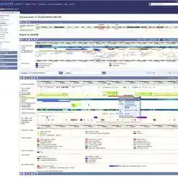 A genome browser showing functional elements.