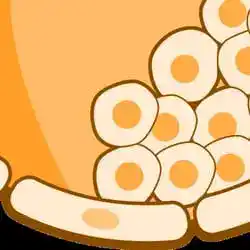 A human embryo at the stage edited in the 2018 experiment.