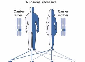 Autosomal Recessive Inheritance: Principles, Patterns, & Associated Disorders