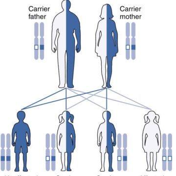 Autosomal Recessive Inheritance