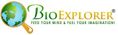 BioExplorer Registered Logo