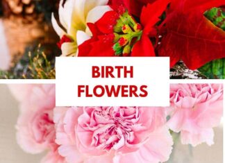 Birth Flowers