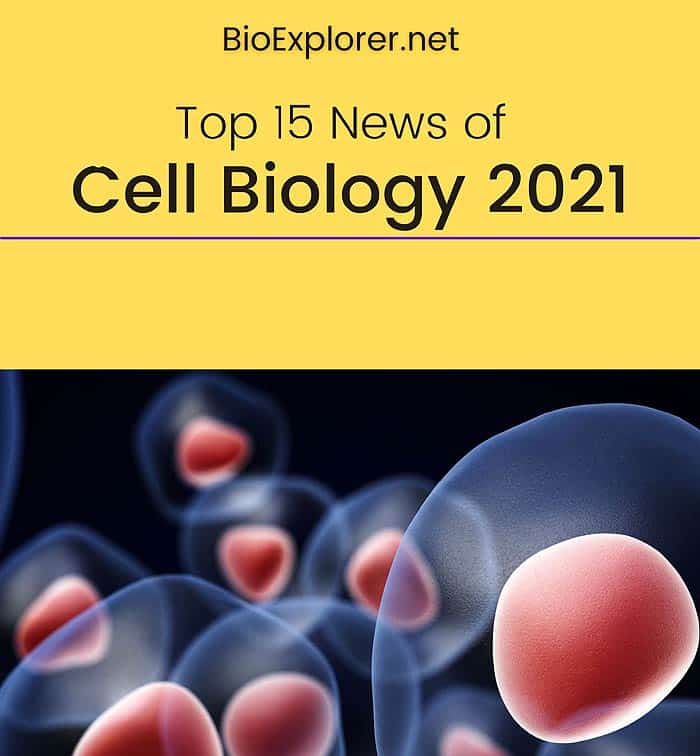 Top 15 Cell Biology News of 2021