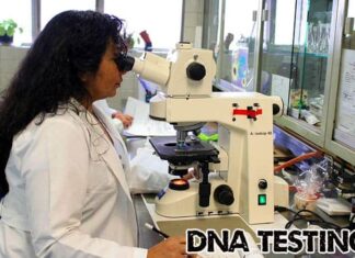 Exploring Your Genes: The Best DNA Testing Service