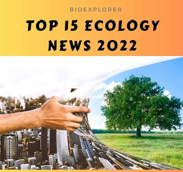 Top 15 Ecology News of 2022