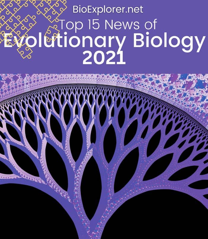 Top 15 Evolutionary Biology News of 2021